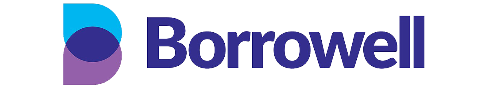 borrowell about picture